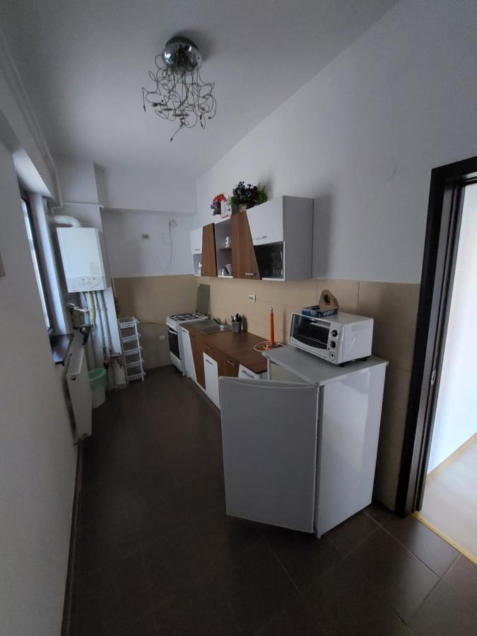 Roxana Apartament Daire Râmnicu Vâlcea Dış mekan fotoğraf